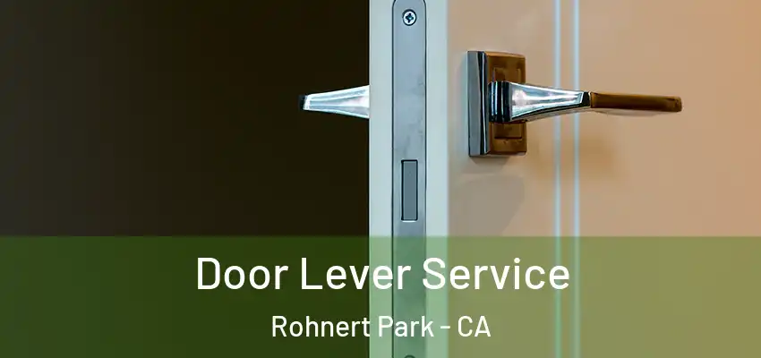 Door Lever Service Rohnert Park - CA